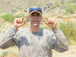 Minelab GPZ 7000 Metal Detector 7.2v 10ah (72Wh) Replacement Li-Ion Battery