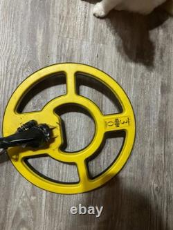 Whites beach hunter id